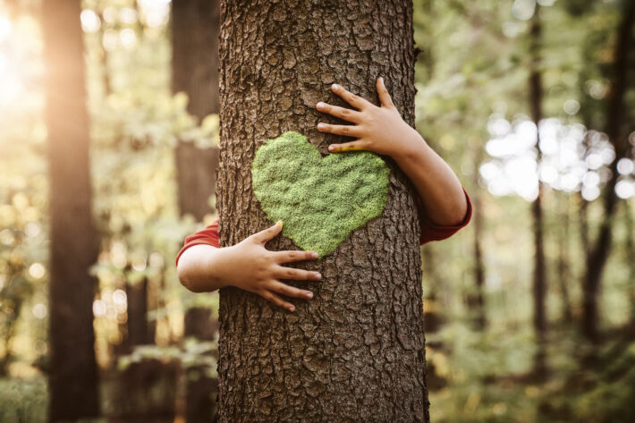 Nature lover, close up of child hands hugging tree with copy spa